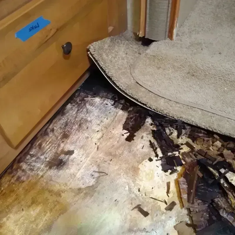 Wood Floor Water Damage in Somerset County, MD